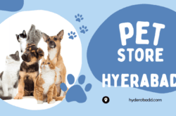 Pet Store Hyderabad